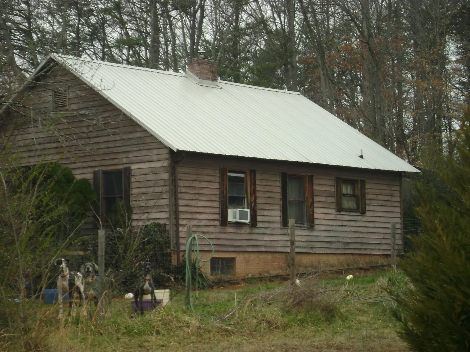 White metal roof on an old wood sided farmhouse, from a Asphalt Shingle Roof Repair job in Westernport